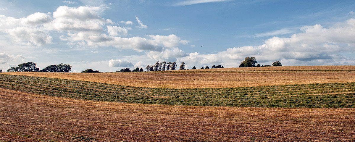 Photo of landscape by Art Ward ©