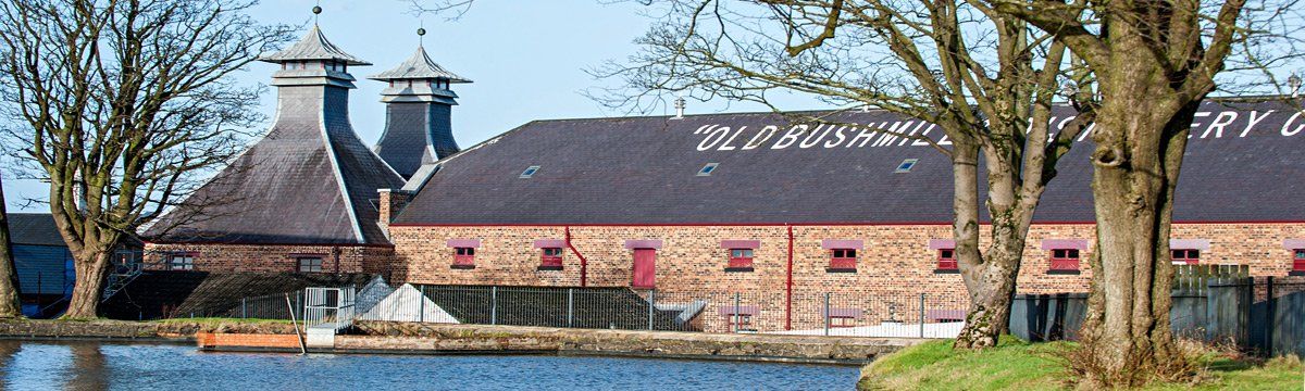 Photo - Bushmills Distillery by Art Ward