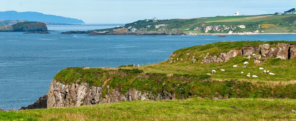 View from Dunseverick Castle by Art Ward ©