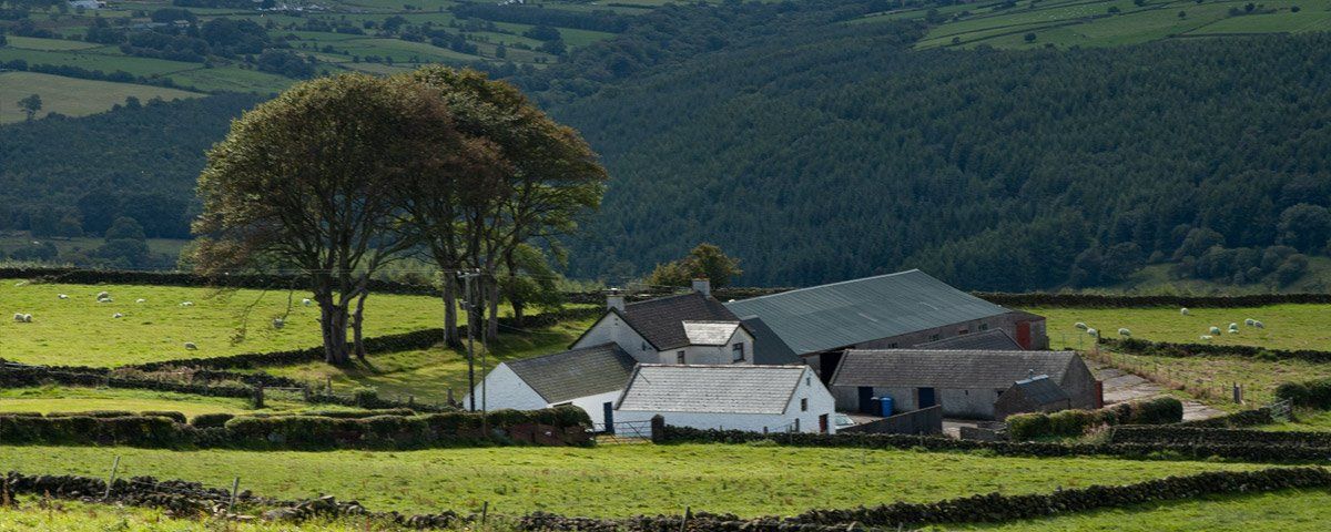Glenarm by Art Ward ©