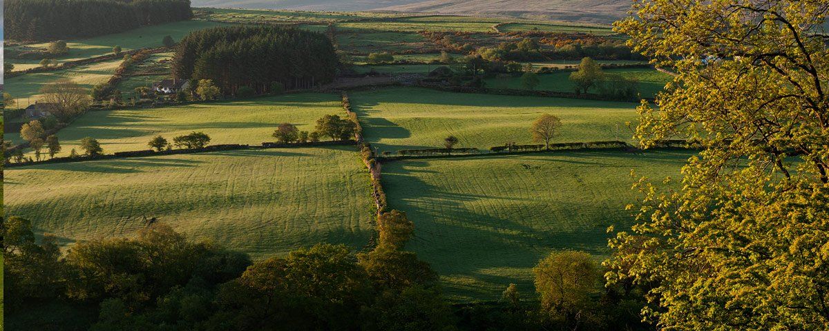 Photo of the Glens by Art Ward ©