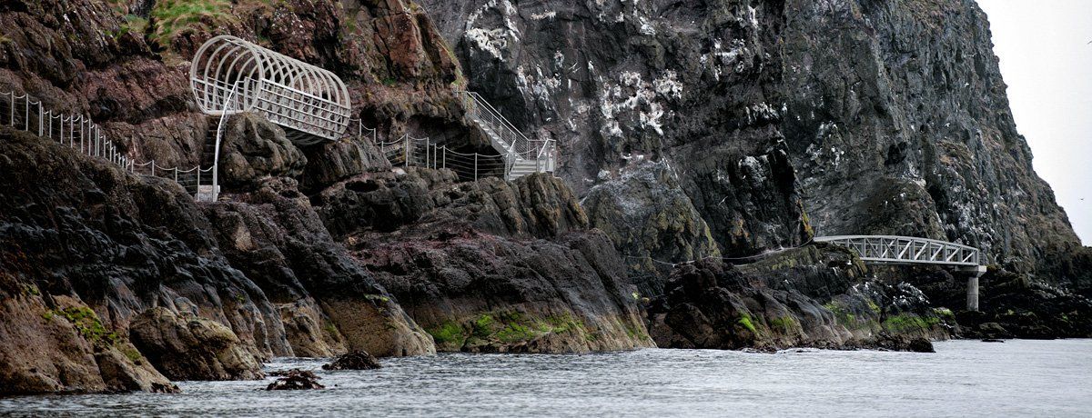 Photo of The Gobbins by Art Ward ©