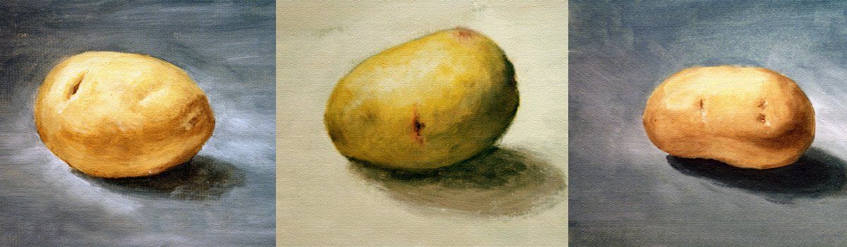 Paintings By Angela Clarke of John Clarke varieties.