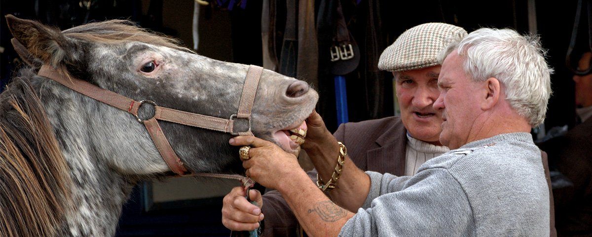 Photo from Lammas Fair by Art Ward