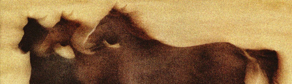 Photo - Sand Horses by Art Ward