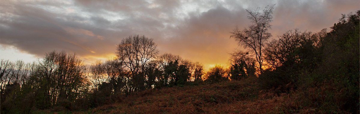 Photo of sunset by Art Ward ©