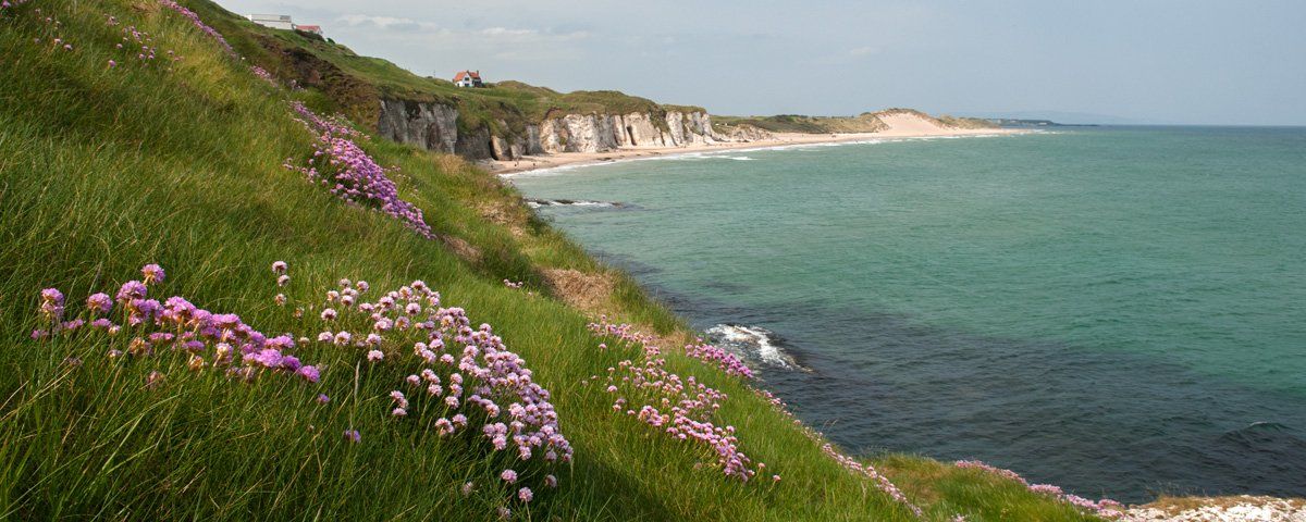 Photo of The White Rocks by Art Ward ©