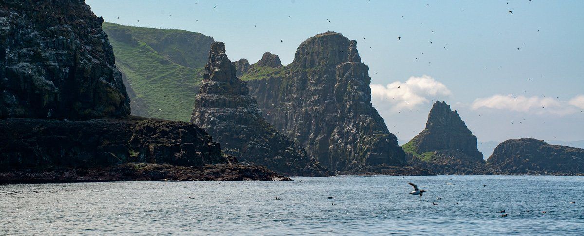 A photo from Rathlin by Art Ward ©
