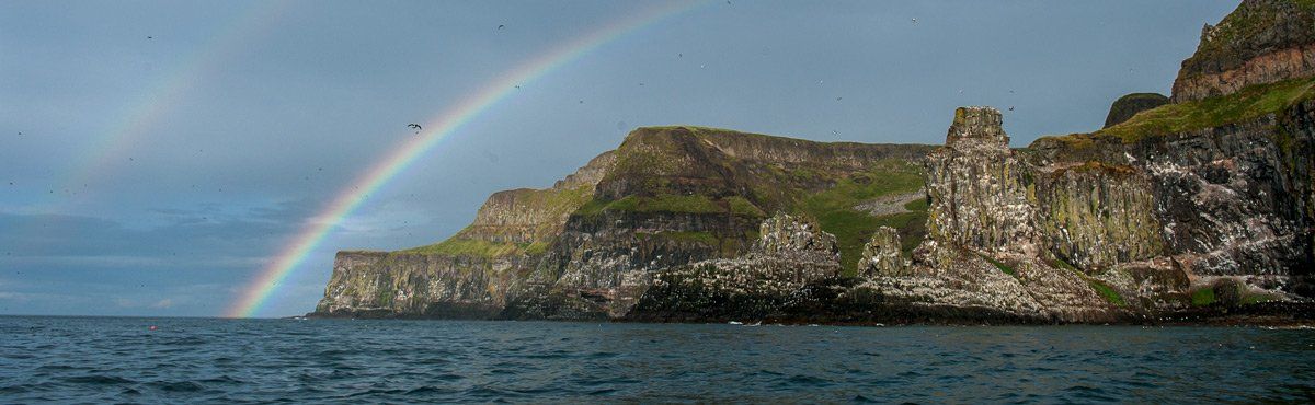 Photo - Sea Cliffs Rathlin by Art Ward