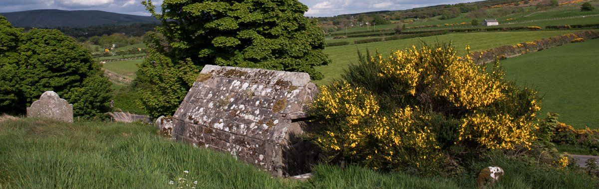 Photo of Bovevagh by Art Ward