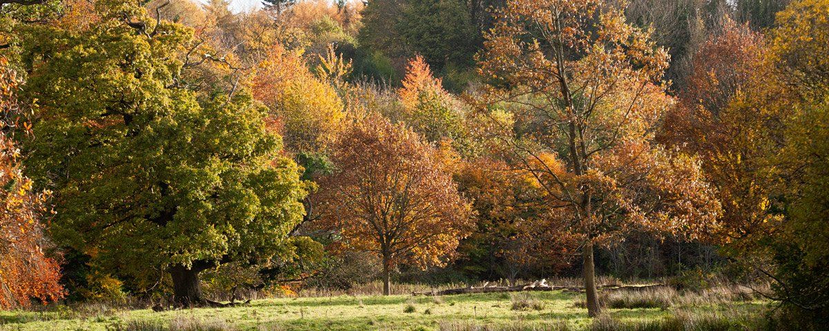 Photo of Roe Valley by Art Ward ©