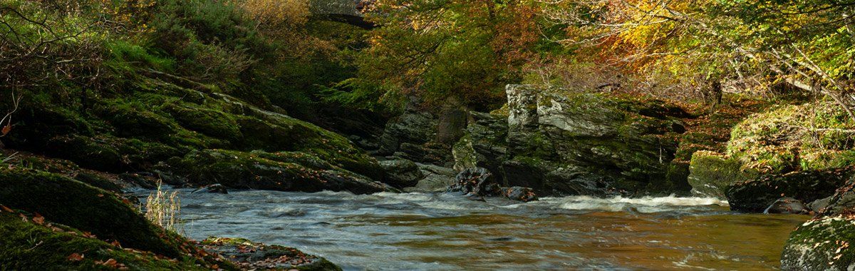 Photo of Roe Valley Park by Art Ward