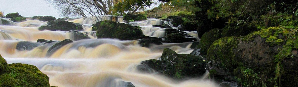 Photo- Walkmill Falls by Art Ward