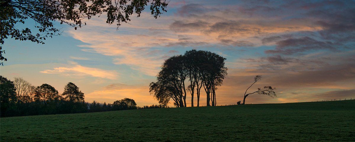 Photo of sunset by Art Ward ©