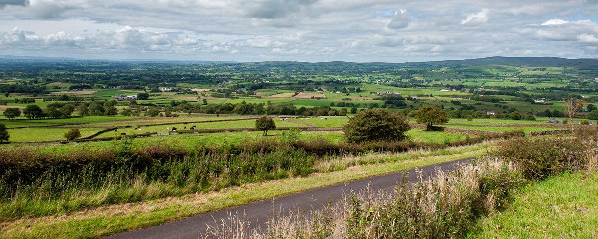 View from Slemish by Art Ward ©