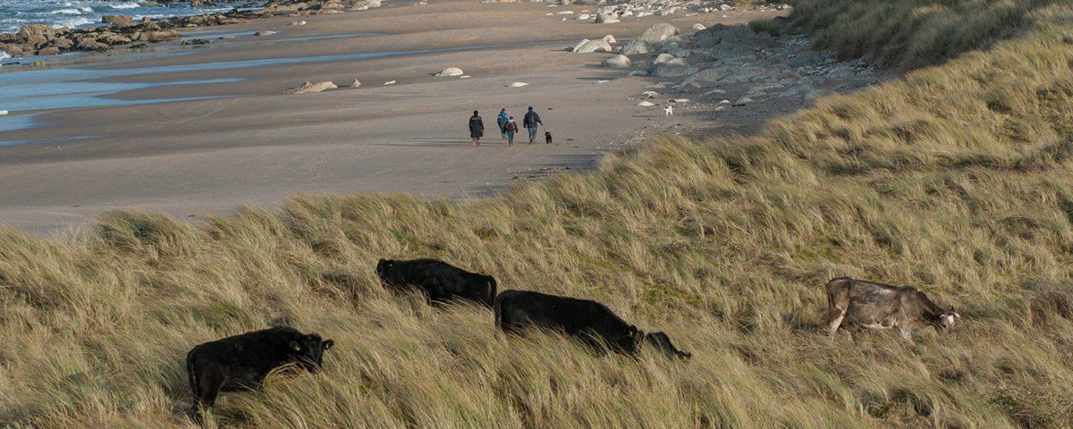 Photo of White Park Bay by Art Ward ©