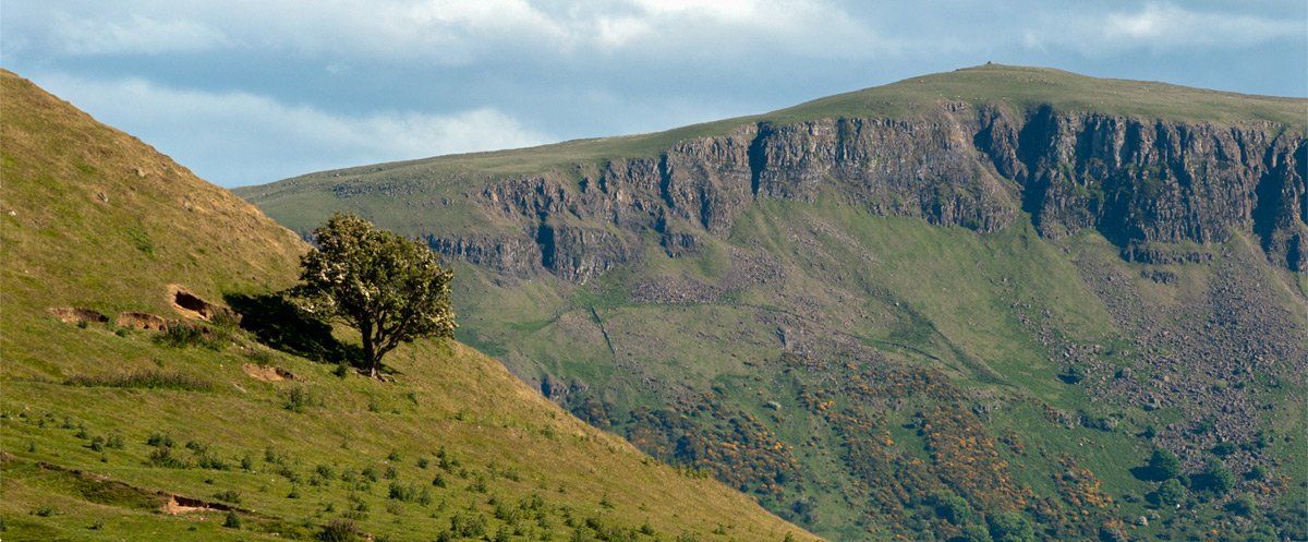 Photo of Tiveragh by Art Ward