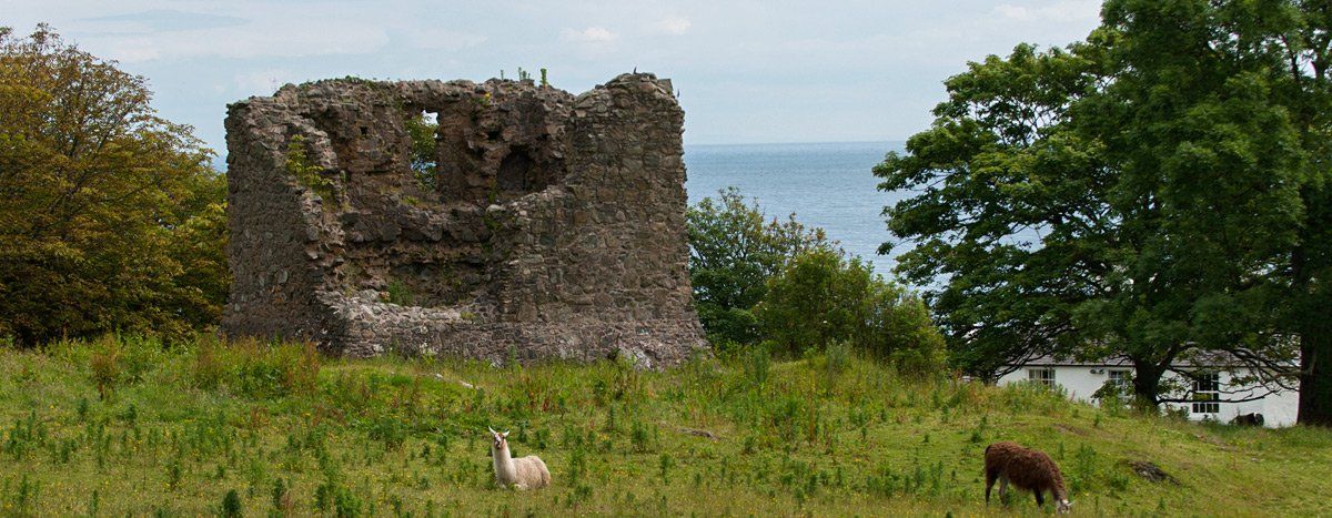 Photo of Cara Castle by Art Ward