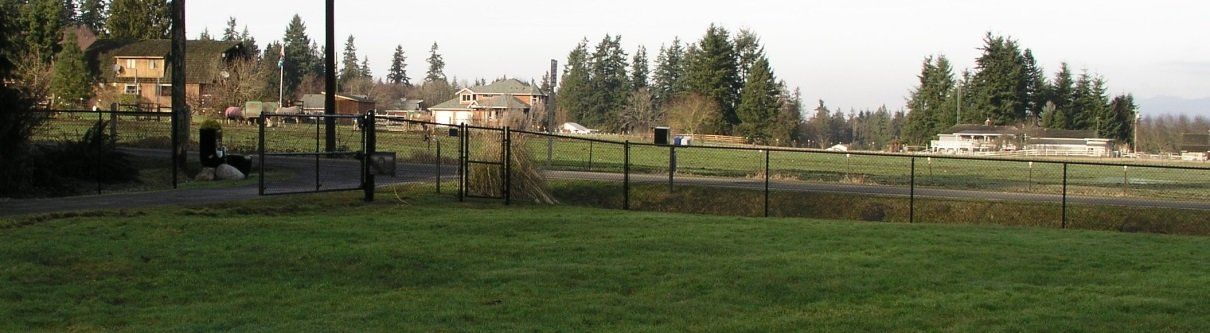 Black Chan With Automatic Gate — Marysville, WA — Premier Fence, Inc.