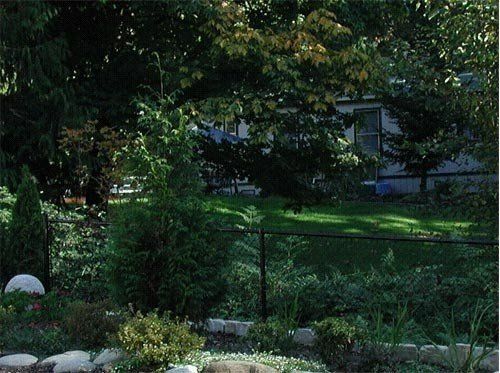 Black Vinyl Coated Chain Link — Marysville, WA — Premier Fence, Inc.