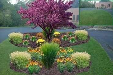 landscape design Albany, NY