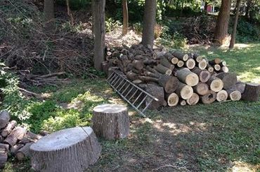 landscape design Schenectady, NY