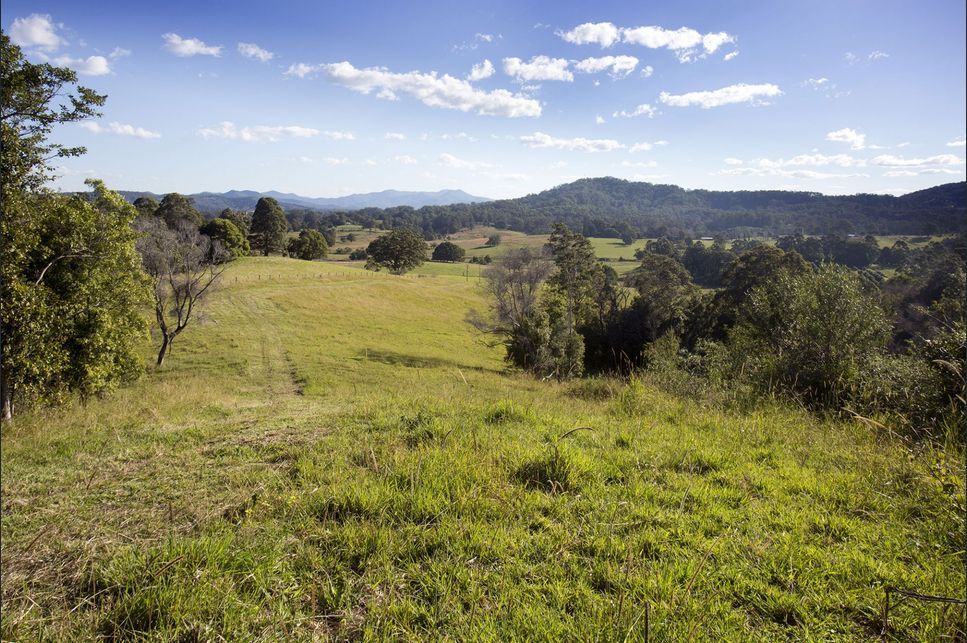 Land for sale 146 Tewinga Lane Tewinga NSW 2449 image #2 | Real Estate Nambucca