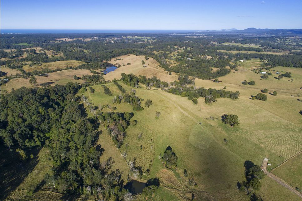 Land for sale 146 Tewinga Lane Tewinga NSW 2449 image #4 | Real Estate Nambucca