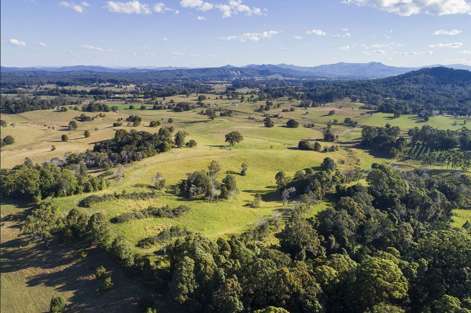Land for sale 146 Tewinga Lane Tewinga NSW 2449 image #5 | Real Estate Nambucca