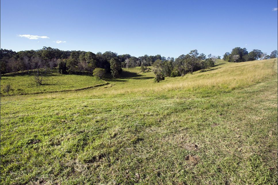 Land for sale 146 Tewinga Lane Tewinga NSW 2449 image #1 | Real Estate Nambucca