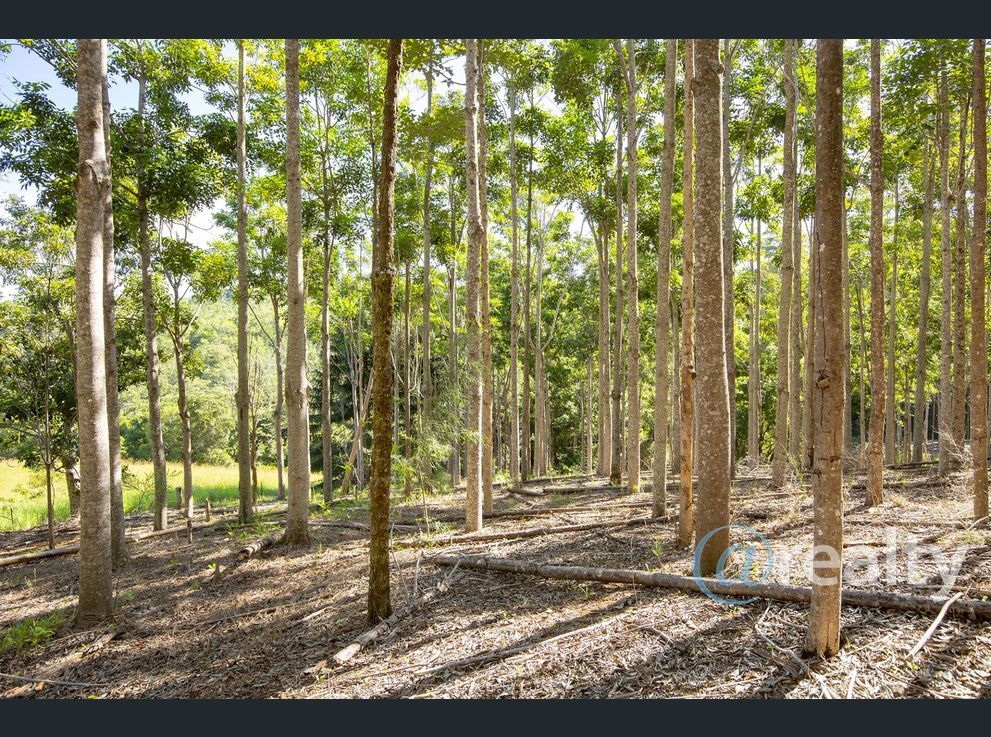 Property image of 310 Richards Road Newee Creek NSW 2447 #5 | Real Estate Nambucca