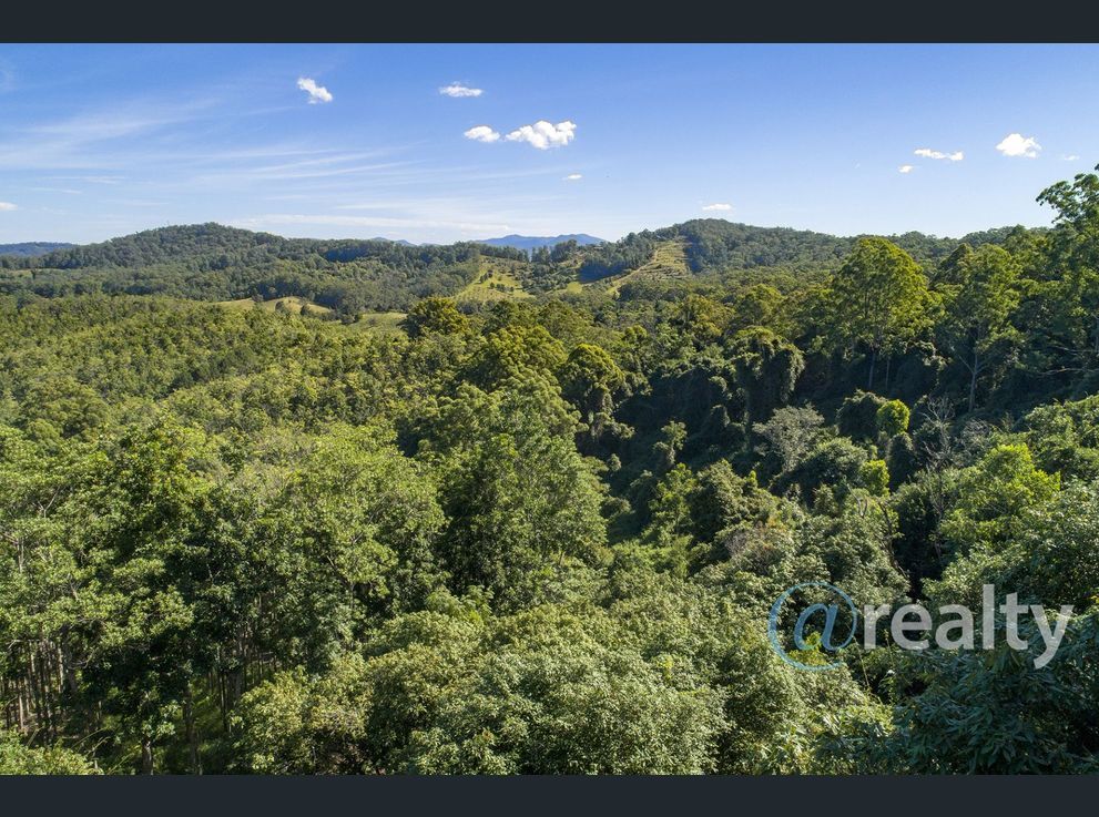 Property image of 310 Richards Road Newee Creek NSW 2447 #7 | Real Estate Nambucca