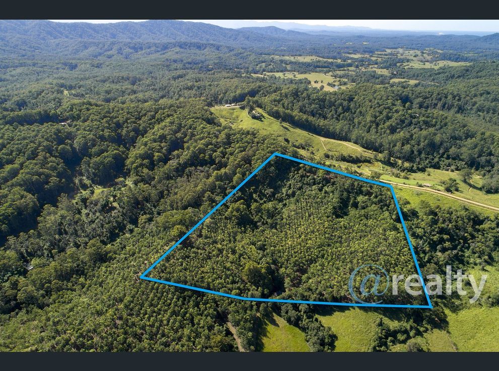 Property image of 310 Richards Road Newee Creek NSW 2447 #8 | Real Estate Nambucca
