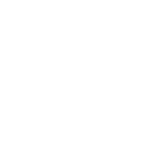 locks icon