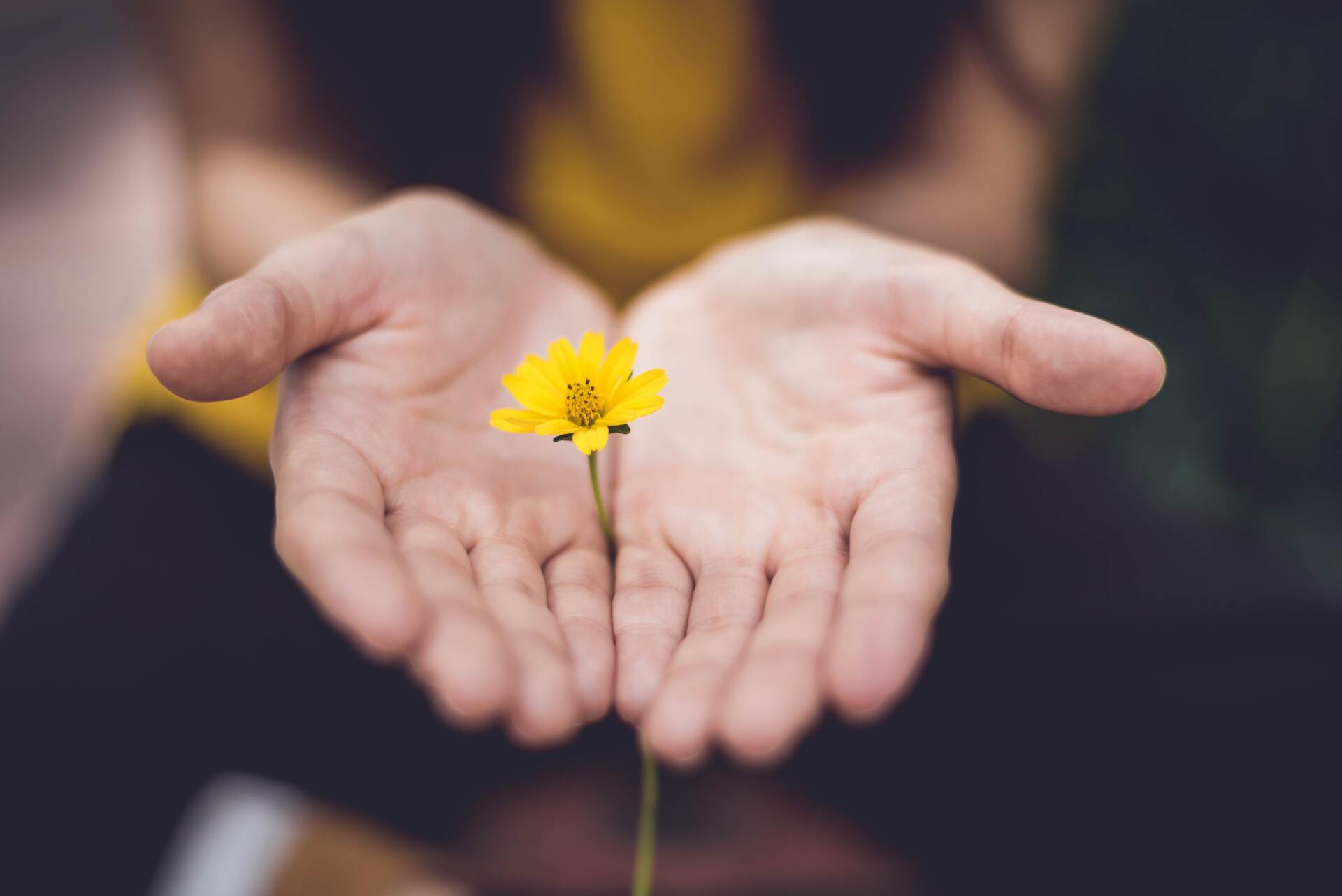 Coaching en Hypnotherapie