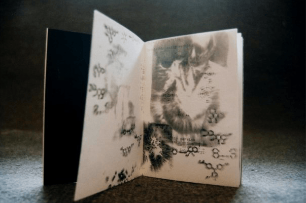 Book: Intentions