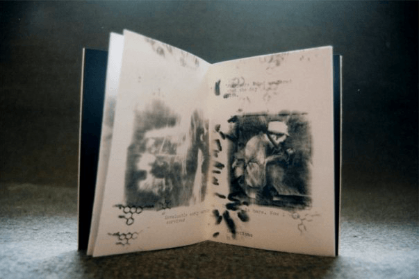 Book: Intentions He Risked