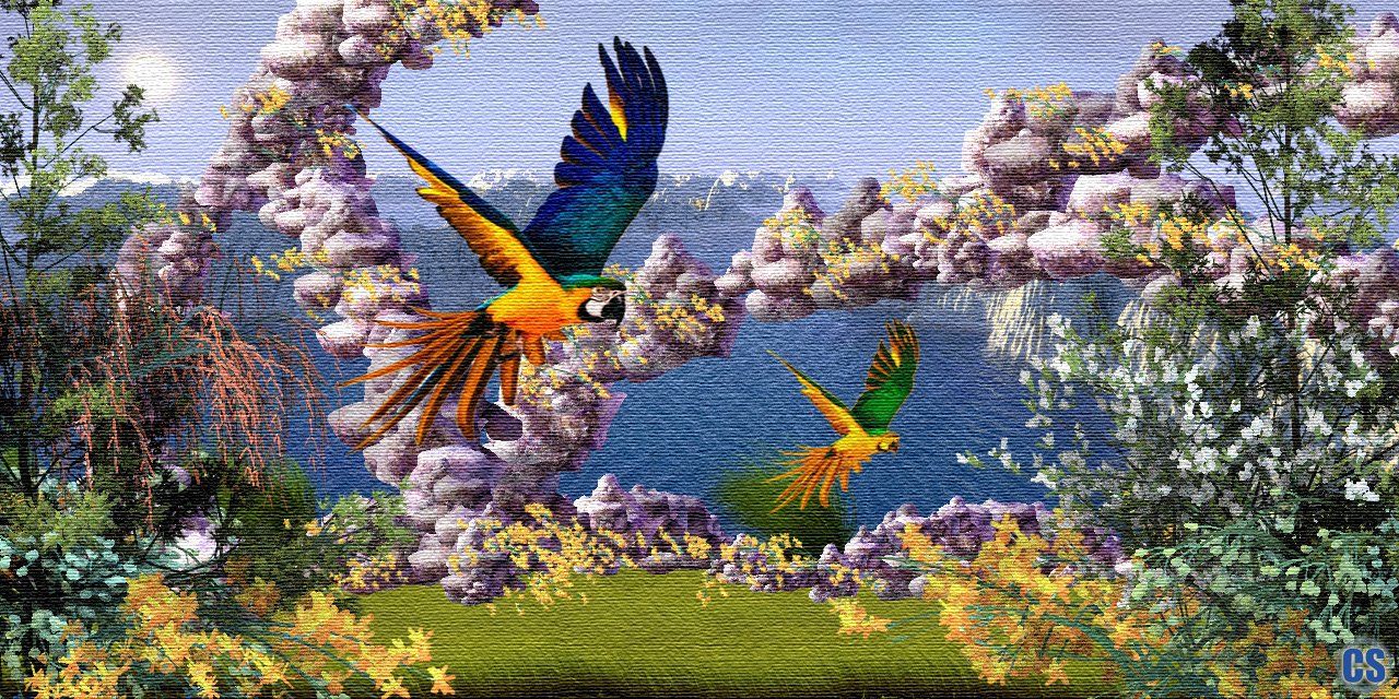 Parrot Paradise