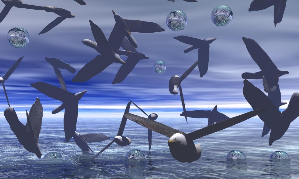 Flock of Seagulls - Year: 2016© - CSStudio.tv