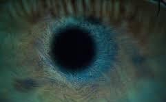 Close-up of a blue-green eye with a dark pupil