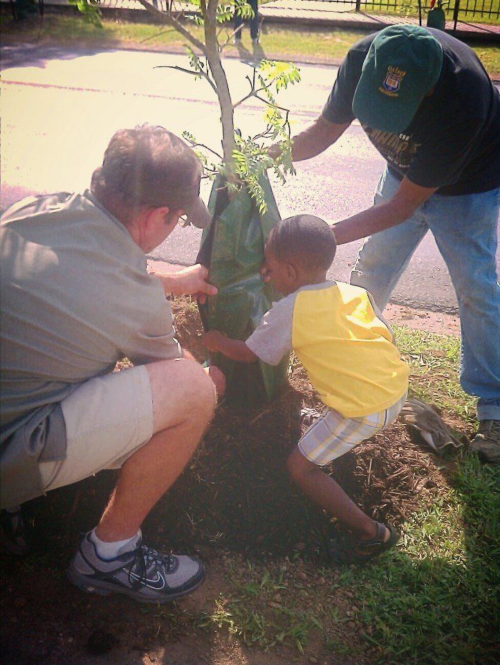 Three people and a child planting a tree together outdoors; sunny day.