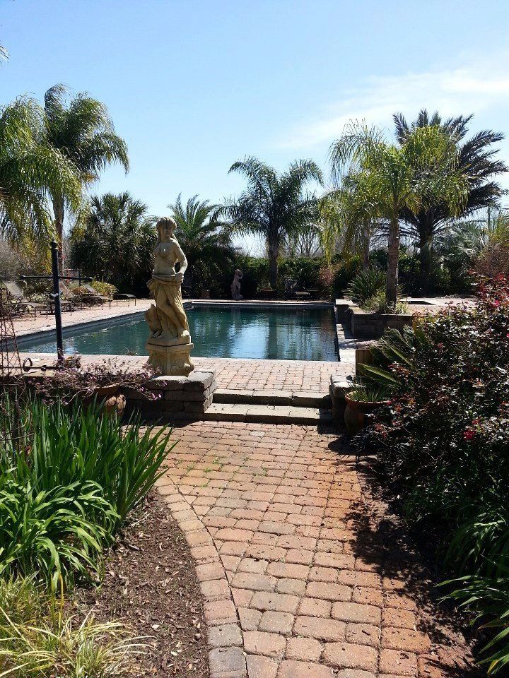 Brick path leading to a rectangular pool with statue, surrounded by palm trees and landscaping under a sunny sky.