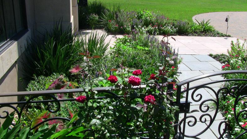 A garden with red roses in front of a stone walkway, metal railing, and lawn.