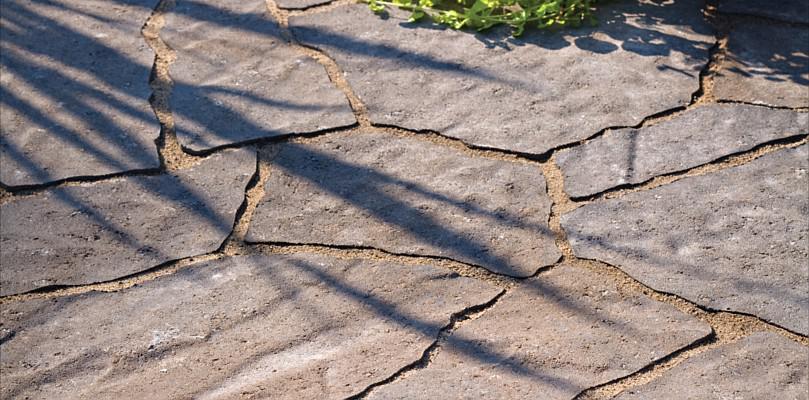 Stone pavers with cracks, shadowed by plants.