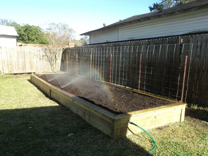 Raised garden bed with sprinklers creating a rainbow. Brown soil, green grass, wooden fence in the background.