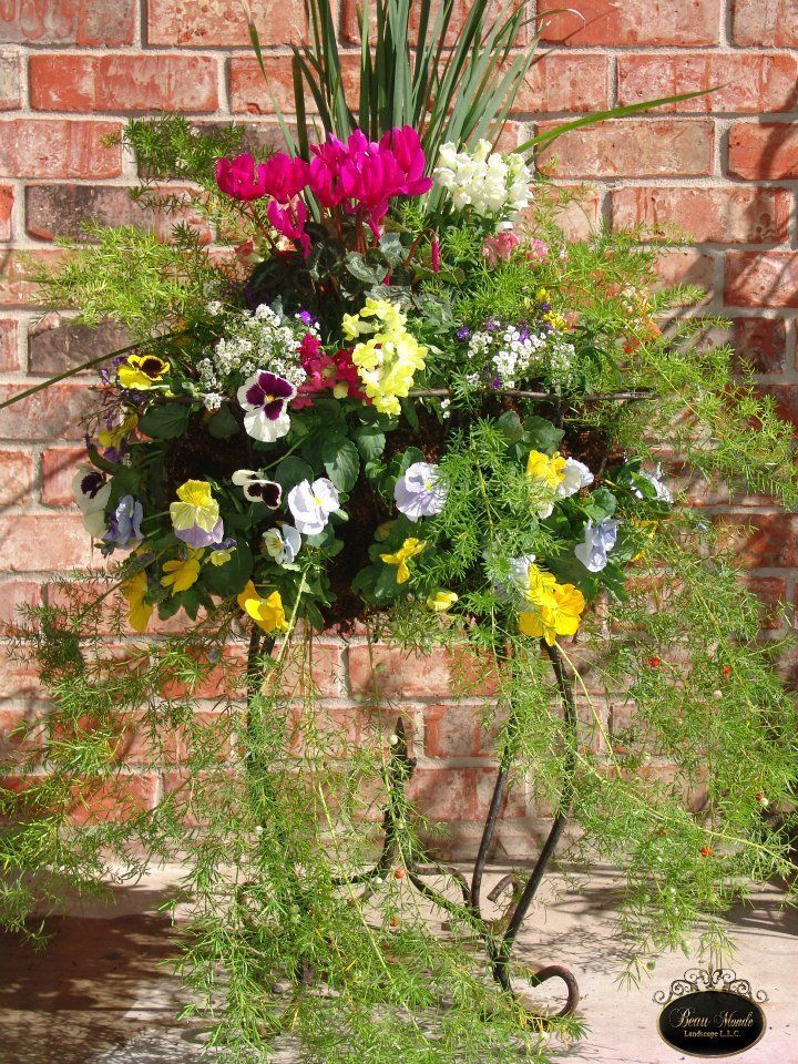Hanging basket with colorful pansies, cyclamen, and greenery against a brick wall.