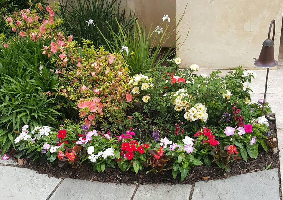 Colorful flower bed with pink, red, white, and yellow blooms in front of a neutral-colored building.