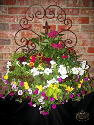 Beau Monde installed colorful flowers overflow a wall-mounted wrought iron planter. Lafayette, LA