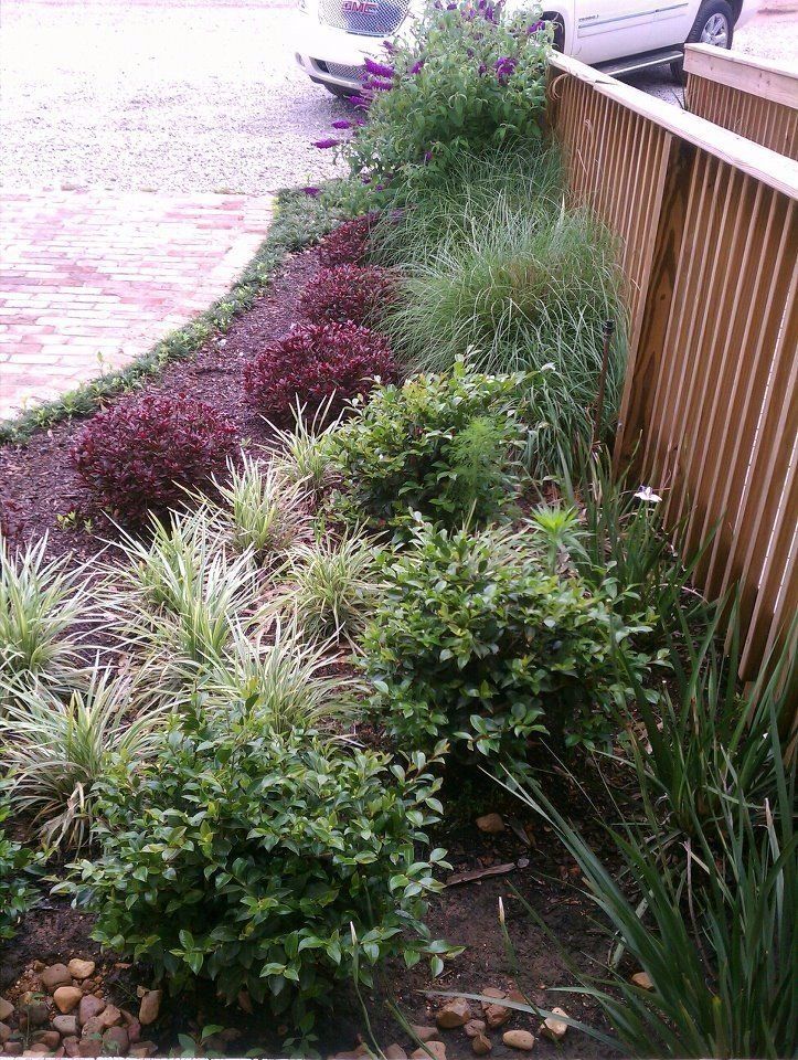Landscape Entry