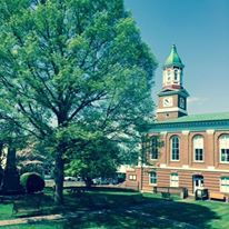 Large Tree in Front of a Building — Culpeper, VA — Law Offices of Monica J Chernin